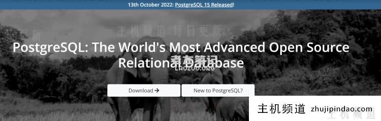 PostgreSQL 15新版本发布 看看有哪些新功能特点