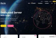 10g.biz年终福利,香港CN2 GIA和美国CN2 GIA不限流量服务器7折优惠,月供2.4美元。-主机频道