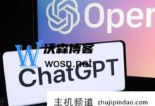 chatGPT邮箱无法注册怎么办?chatGPT详细完整的注册教程(山羊邮箱注册)-主机频道