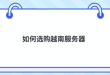 如何购买越南服务器-主机频道