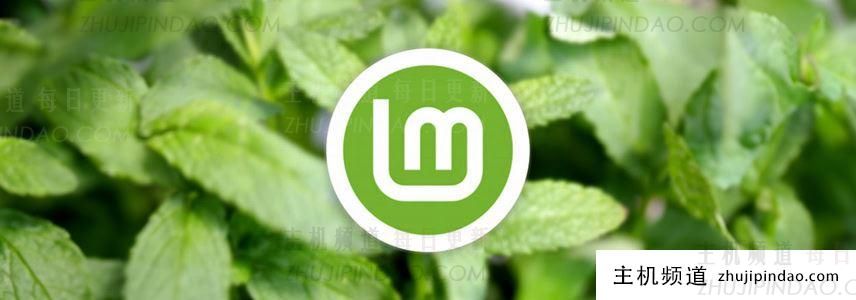 Linux Mint 22 安装界面