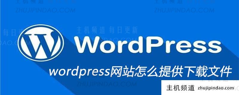 wordpress网站怎么提供下载文件