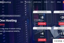 GoSSDHosting美国VPS: 1核1G内存50GB硬盘500GB月流量@1Gbps带宽，1个IPv4，全托管，20美元/月，仅硬件不超卖。-主机频道