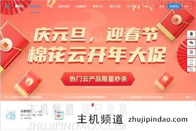 棉云开年大促,十堰高防259元起,还有秦皇岛BGP多盾融合,AI智能防护100G g。-主机频道