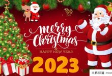 VM香港CMI VPS:双11款一年88.88美元,圣诞新年款一年99.99美元。哪个更值得买?-主机频道