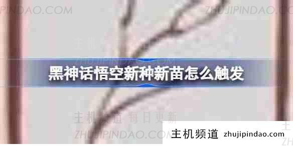 《黑神话悟空》新种植/育苗成就指南(黑神话悟空彩蛋)-主机频道