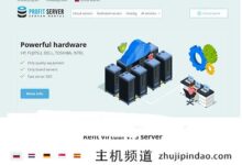 Profitserver俄罗斯6折,低至28美元/月,100M带宽,不限流量(俄罗斯vps5元)。-主机频道