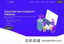 Virtury巴基斯坦VPS，10美元/月起，100Mbps带宽，1G内存/1核/25GSD/1T流量。-主机频道