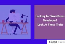 想找WordPress开发者?看看这些功能(Wordpress开发)-主机频道