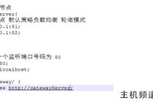 Nginxgateway集群和动态网关的实现-主机频道