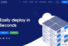 RCP 2022黑五,VPS日本限量推广,三网融合CUG(10099),500M带宽,年费20美元。-主机频道