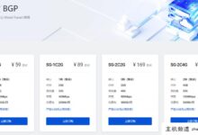 DigitalVirt新加坡BGP预售开启!前50名用户享受65%循环优惠,支付1.5倍年流量:384元/年/1核/1G/20G系统盘/1.5TB流量@300M带宽。-主机频道