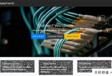 SaltyFish(咸鱼云),圣荷西VPS,8折优惠,优惠后44.8元/月起,NTT+Cogent+ChinaNet。-主机频道